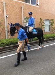 9_17_jimu_2.jpg