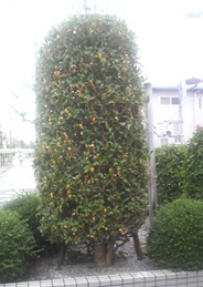 9_26_hotta_2.jpg
