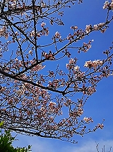 DSC_0488.jpg