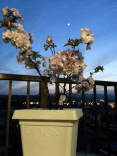 image1~0001.jpg