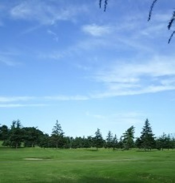日本オープンゴルフに注目！サムネイル