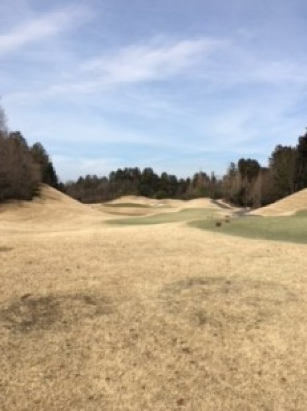 一緒に春の素晴らしいゴルフシーズンに向けて準備しましょう。サムネイル