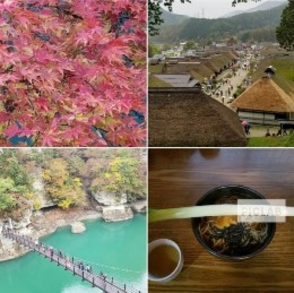 ゴルフ関連もノミネート！？流行語大賞サムネイル