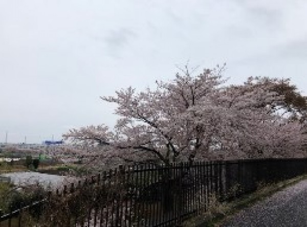 今年もきました、マスターズ！サムネイル