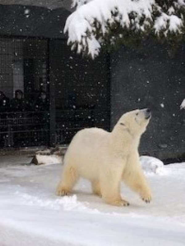 春ゴルフに向けて！サムネイル