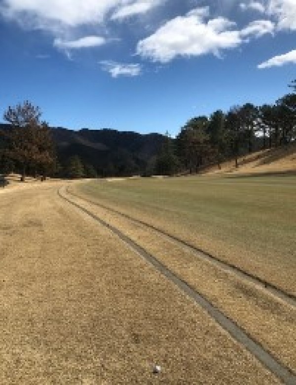 天敵本領発揮サムネイル