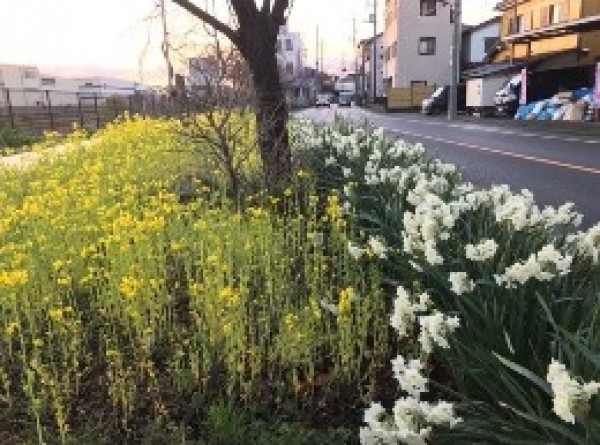 音なりの犯人サムネイル