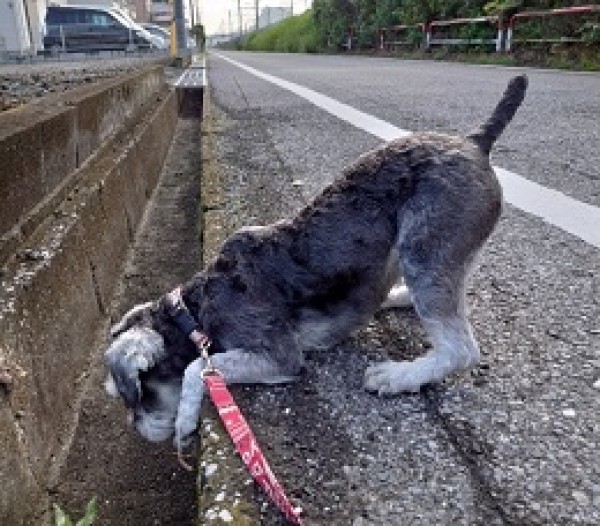 梅雨時期のゴルフはサムネイル