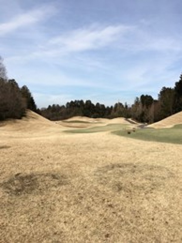 早くゴルフ場で桜が見たいです！サムネイル