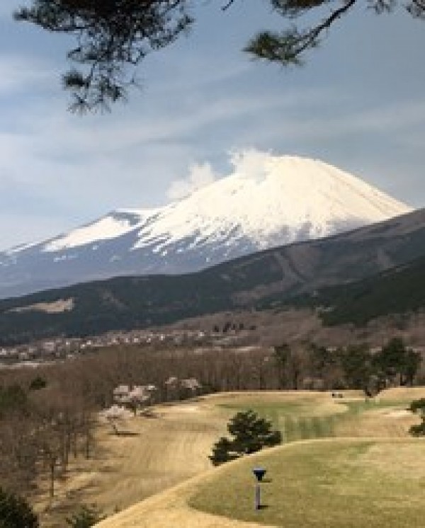 この時期限定のゴルフの楽しみ♪サムネイル