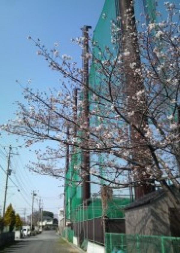 ゴルフの祭典・マスターズ開幕！サムネイル