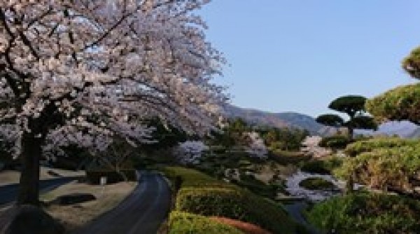 風が強い日のゴルフサムネイル