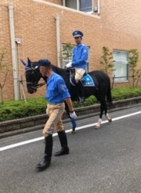 スポーツの秋！ゴルフの秋を満喫しましょう♪サムネイル