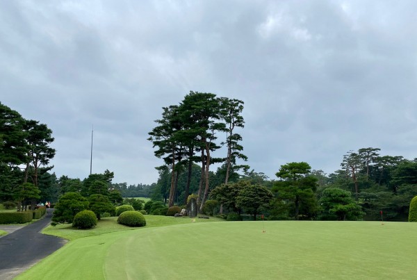 バミューダ芝って難しい！！サムネイル